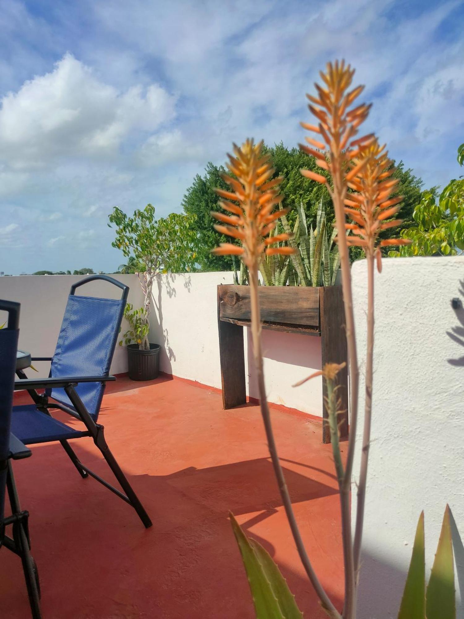 Casa Coraza Appartement Cancún Buitenkant foto