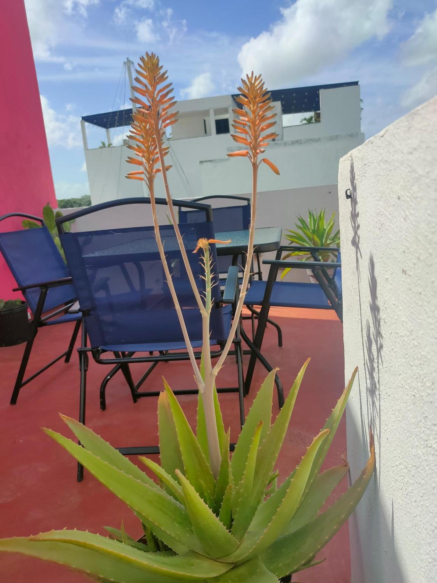 Casa Coraza Appartement Cancún Buitenkant foto