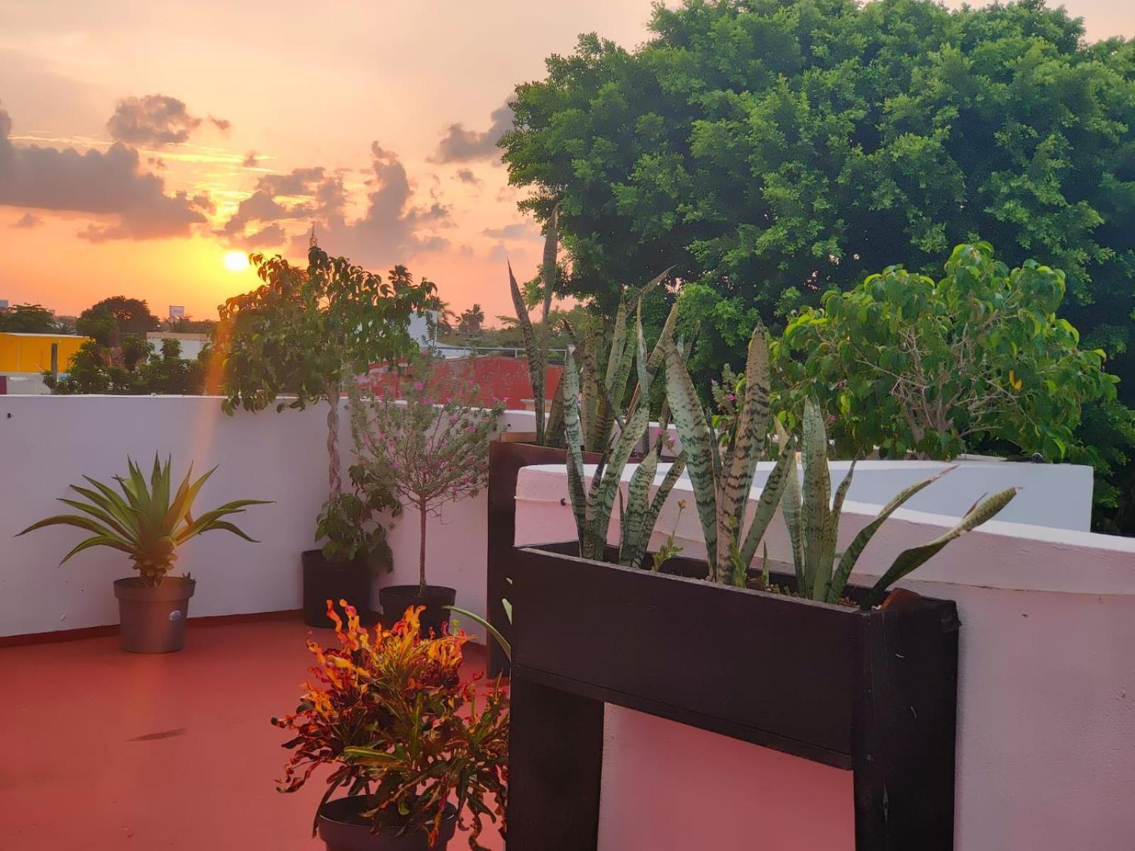 Casa Coraza Appartement Cancún Buitenkant foto